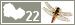 Lestes viridis (Chalcolestes viridis) sur Odonates 22